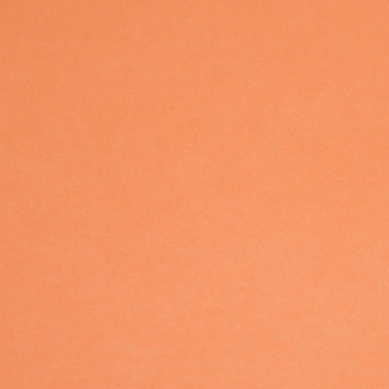 Ватман тонированный, А2 (420*594 мм), 200 г/кв.м, 50 листов, оранжевый Лилия Холдинг КЦ-7779