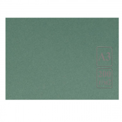 Ватман тонированный, А3 (297*420 мм), 200 г/кв.м, 50 листов, зеленый Лилия Холдинг КЦА3зел.