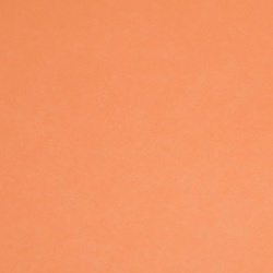 Ватман тонированный, А4 (210*297 мм), 200 г/кв.м, 50 листов, оранжевый Лилия Холдинг КЦ-7816