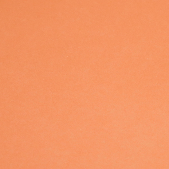 Ватман тонированный, А4 (210*297 мм), 200 г/кв.м, 50 листов, оранжевый Лилия Холдинг КЦ-7816