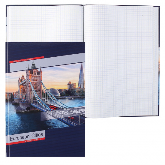 Книга учета 80 листов, А4, 205*300 мм, клетка, офсет, склейка Лондонский мост Проф-Пресс 80-1734