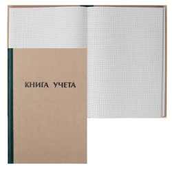 Книга учета 96 листов, А4, 190*290 мм, клетка, газетка, книжный переплет Ульяновский Дом Печати 2056404