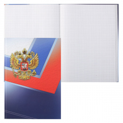Книга учета 96л А4 (205*290) кл офсет тв обл карт мат лам выб лак Официальный Б-660