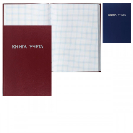 Книга учета 192, А4, 200*290мм, клетка, офсет, твердый картон 7Бц, бумвинил Ульяновский Дом Печати КУ-561 Книга учета 192, А4, 200*290мм, клетка, офсет, твердый картон 7Бц, бумвинил Ульяновский Дом Печати КУ-561