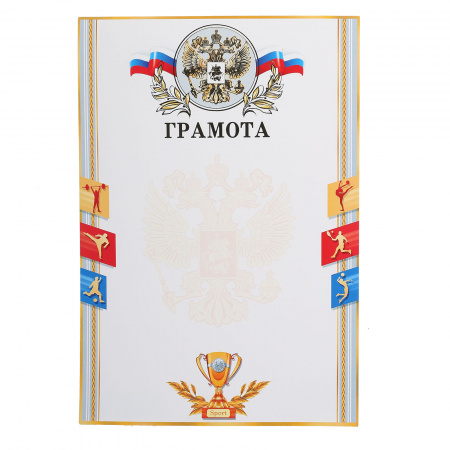Диплом с флагом. Грамота пограничнику. Грамота с государственной символикой. Инциденте с грамотами с символикой. Инциденте с грамотами с символикой.