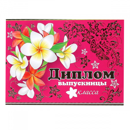 Диплом выпускницы _ класса символика школьная, А5, 159*220мм Мир открыток 3-21-053А Диплом выпускницы _ класса символика школьная, А5, 159*220мм Мир открыток 3-21-053А