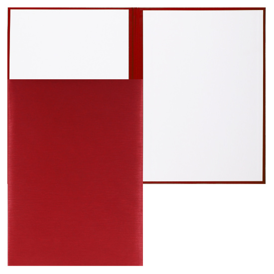 Папка адресная без тиснения, А4, бумвинил, цвет красный Имидж 4000-201