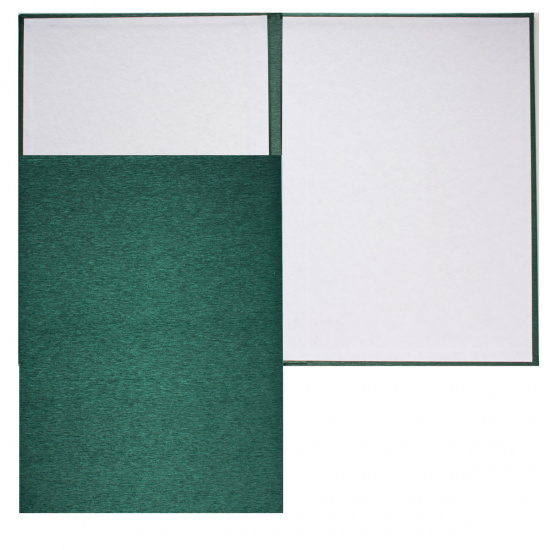 Папка адресная без тиснения, А4, балакрон, фактура шелк, цвет зеленый Имидж 4000-105