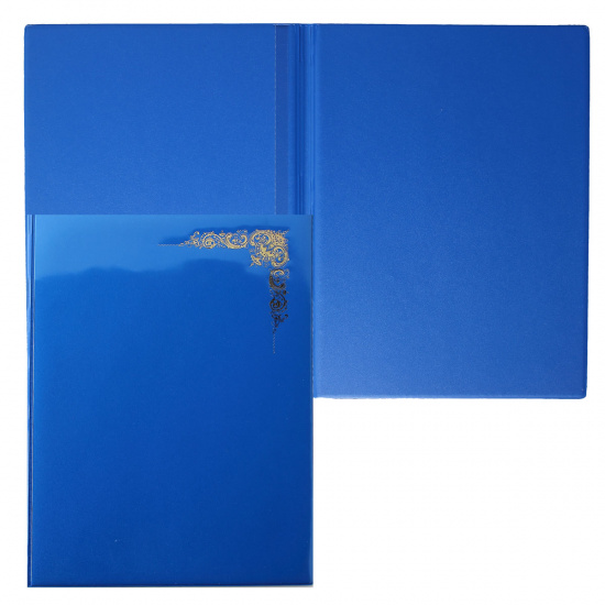 Папка адресная фольгой, А4, ПВХ, фактура глянец, цвет синий ДПС 2032.О-1001