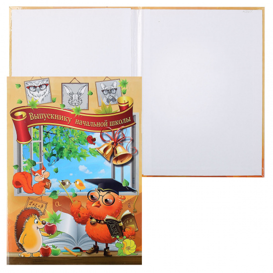 Папка адресная Выпускнику начальной школы, А4, ламинированный картон, цвет рисунок Совенок Имидж 4000-99