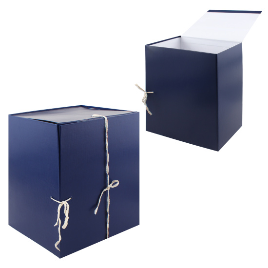 Короб архивный 310*225 мм, картон с бумвиниловым покрытием, на четырех завязках, цвет синий deVENTE 3010581