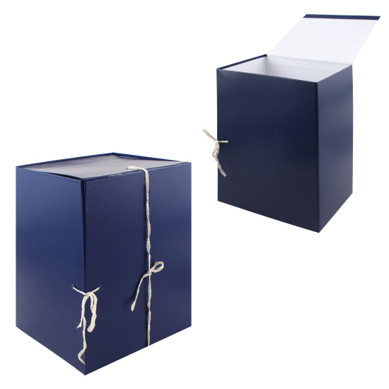 Короб архивный 310*225 мм, картон с бумвиниловым покрытием, на четырех завязках, цвет синий deVENTE 3010579