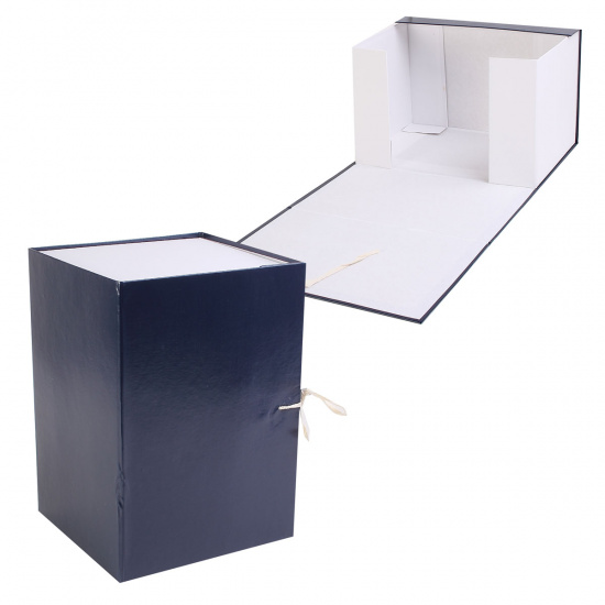 Короб архивный 320*220 мм, картон с бумвиниловым покрытием, на завязках, цвет синий Имидж КСБ4200-203
