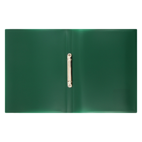 Папка на кольцах А4, пластик, ширина корешка 24 мм, 2 кольца, зеленый Matt Classic Erich Krause 49966