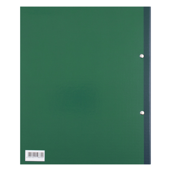 Папка на кольцах А4, ламинированный картон, ширина корешка 35 мм, 2 кольца, внутренний карман, зеленый Erich Krause 19870