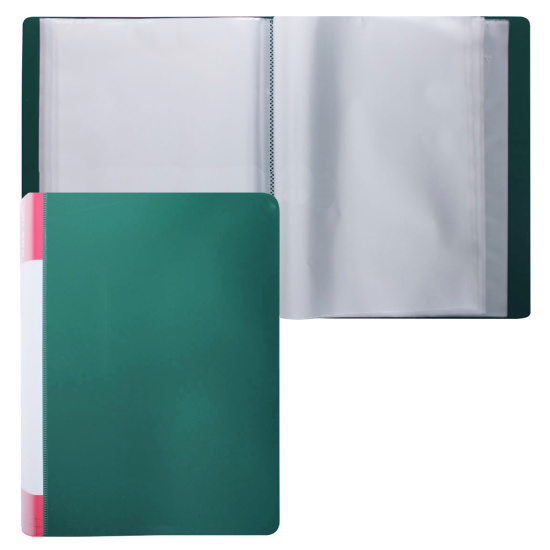 Папка 100 файлов, А4, пластик, цвет зеленый KLERK 190916