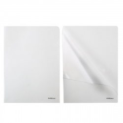 Папка-уголок 0,16мм Clear Standart EK 42915 прозр