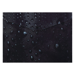 Папка-конверт на кноп А4 (230*320мм) 0,15мм FIORENZO Черные мотивы 253508 черная с рисунком