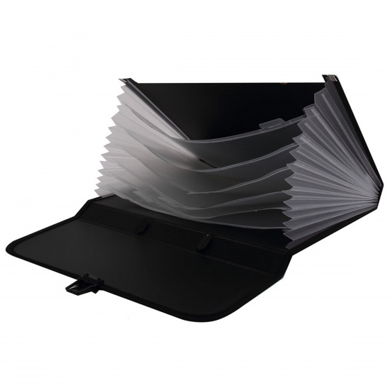 Папка-портфель А4, пластик, 6 отделений, цвет черный NL6275-06 inФОРМАТ