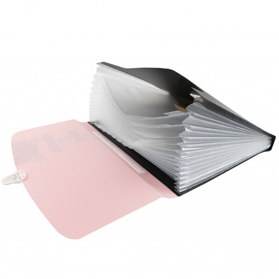 Папка-портфель А4, пластик, 12 отделений, цвет черный/розовый Hidden Cat 3073007 deVENTE