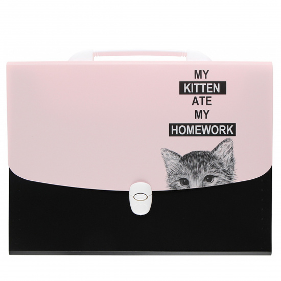 Папка-портфель А4, пластик, 12 отделений, цвет черный/розовый Hidden Cat 3073007 deVENTE