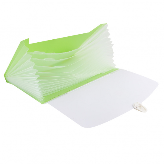 Папка-портфель А4, пластик, 12 отделений, цвет зеленый Avocato Cat 3073203 deVENTE