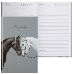 Ежедневник, недатированный, А5, твердый картон 7Бц, 80 листов, цвет серый с рисунком, Пара лошадей, KLERK, 253128