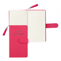 Ежедневник недатированный, А6, 120 листов, книжный переплет, цвет розовый Escalada 57704