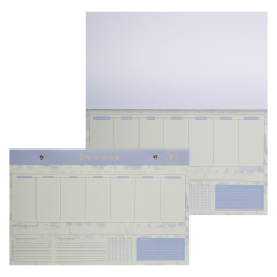 Еженедельник А4 н/д наст 210*297 60л FIORENZO Blue birds 253091