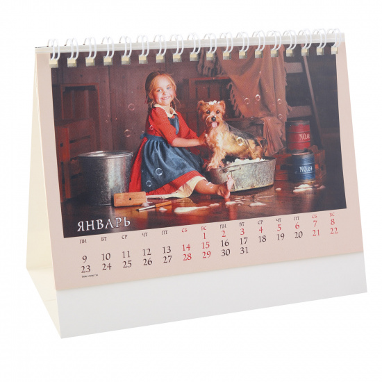 Календарь домик, перекидной 2023г, 105*160 мм, на евроспирали Стандарт Нежный возраст Hatber 12КД6гр_26428