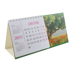 Календарь 2025г домик, перекидной, 100*190 мм, на спирали Маковое поле Полином 22с14-3/1578150