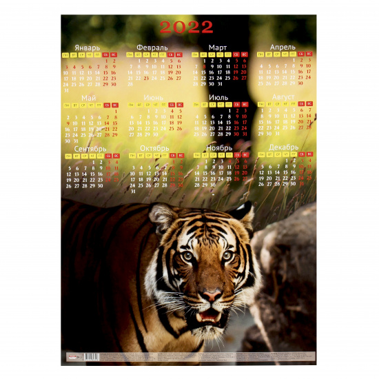 Календарь 2022 настенный листовой, 290*420мм Год тигра-28 Проф-Пресс КН-0329