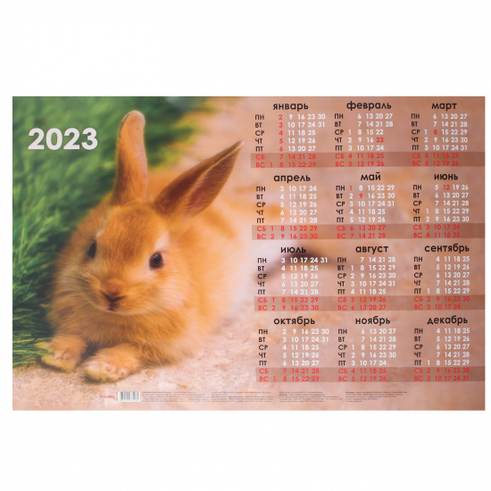 Календарь настенный листовой 2023г, 41*59 см Рыжий кролик Проф-Пресс КН-7528