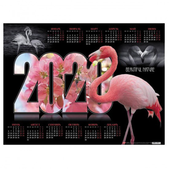 Календарь листовой настен 2020г 45*60 Фламинго Hatber Кл2_19323