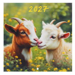 Календарь настенный 2027г, перекидной, 23*23 см, на скобе, Символ года, Квадра, 10093