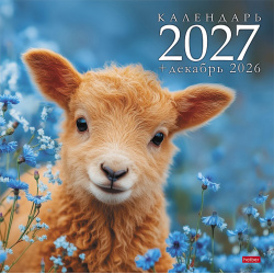 Календарь перекидной настен 2027г 30*30 Стандарт на скобе Символ года Овечки Hatber 12Кнп4_36891