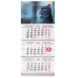 Календарь настенный, трехблочный, 30*69 см, на спирали, бегунок, Котик, KLERK, 260028