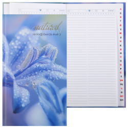 Книга алфавитная, А5, 80 листов, офсет, книжный переплет, Лилия, Апплика, С0272-73