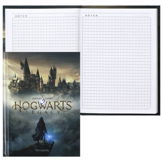 Книжка записная А6 (105*148 мм), 48 листов, клетка, склейка, твердый картон 7Бц Hogwarts Legacy-Гарри Поттер Hatber 48ЗКт6В1_29965