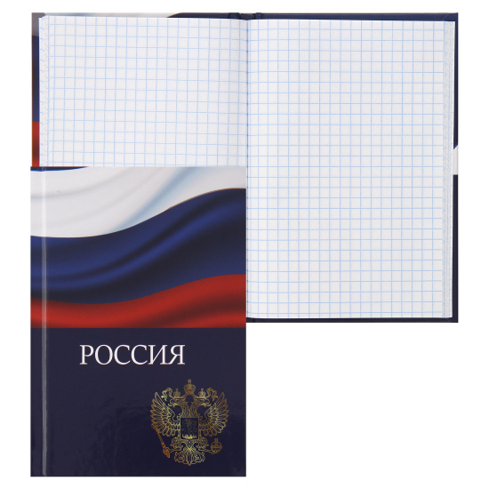 Книжка записная А6 (105*148 мм), 48 листов, клетка, склейка, твердый картон 7Бц Россия KLERK 241107