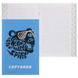 Книжка записная А5 (140*205 мм), 48 листов, клетка, на скобе, мелованный картон Дух свободы Феникс 62921
