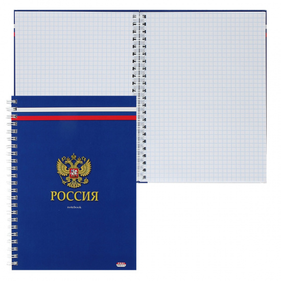 Книжка записная А5 (148*205 мм), 80 листов, клетка, на спирали, твердый картон 7Бц Российский герб Проф-Пресс 80-8107