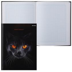 Блокнот-бизнес А5 (170*220) 80л клетка тв обл 7Бц Проф-Пресс Черная кошка-2 глянц лам 80-4473