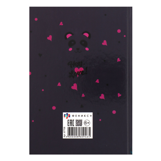 Дневничок для девочек А5 (145*205 мм), 48 листов, линия, книжный переплет Девушка с пандой Феникс 67706
