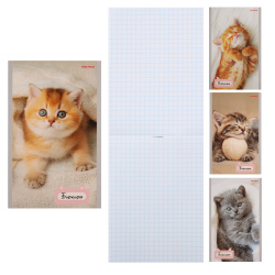 Блокнот, А6, 100*165, 24 листа, клетка, на скобе, ассорти 4 вида, Милые котята-1, Проф-Пресс, Б24-7168