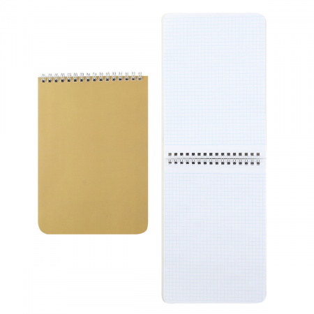 Блокнот А5, 60л, клетка, на евроспирали Золото Hatber 60Б5В1гр_14376 ...