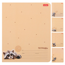 Тетрадь, 12 листов, клетка, ассорти 5 видов, Hatber, Вот енот, 12Т5В1