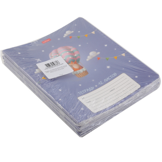 Тетрадь, 12 листов, линия, ассорти 5 видов, Hatber, Воздушное путешествие, 12Т5В2