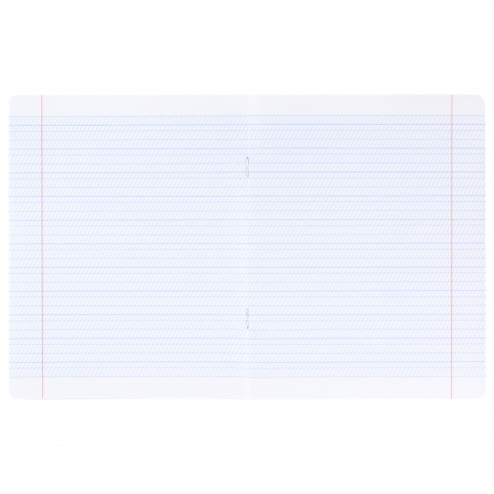 Тетрадь 12 листов, линия частая косая, с дополнительной горизонтальной БиДжи Гимназическая Т5ск12 7315