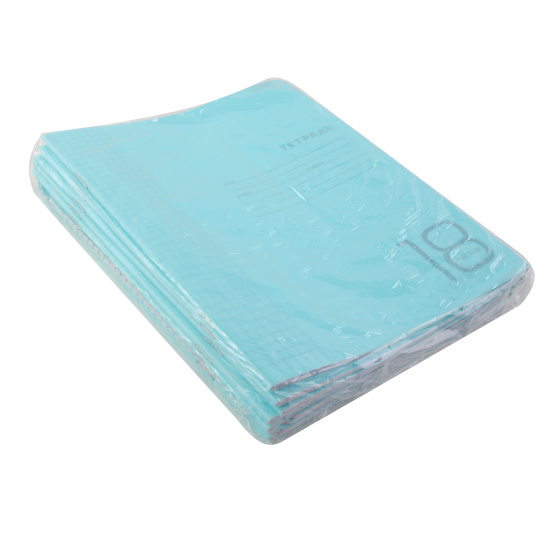 Тетрадь, 18 листов, клетка, пластик, Hatber, Классика, 18Т5В1